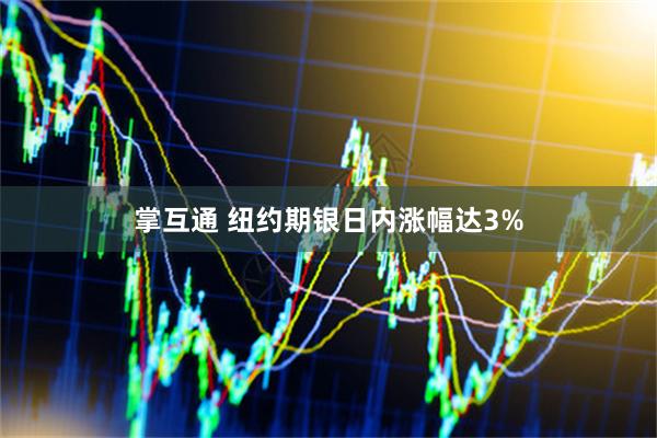 掌互通 纽约期银日内涨幅达3%