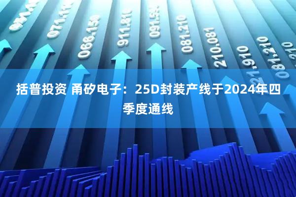 括普投资 甬矽电子：25D封装产线于2024年四季度通线