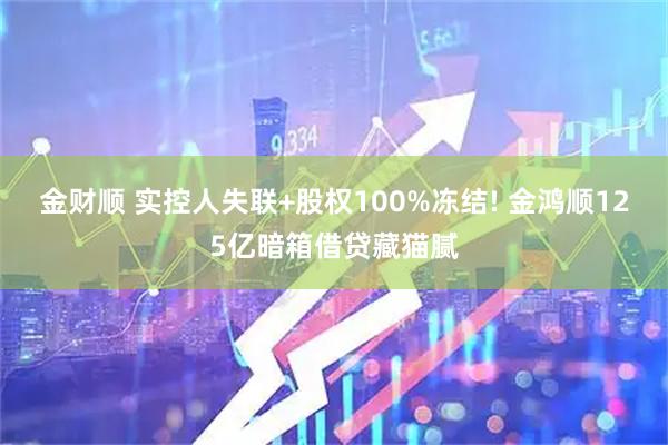 金财顺 实控人失联+股权100%冻结! 金鸿顺125亿暗箱借贷藏猫腻